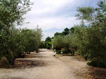 locations gite saint remy de provence : les jardins de Fontanille